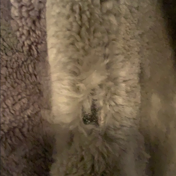 Vintage  genuine rabbit fur jacket - Picture 4 of 7